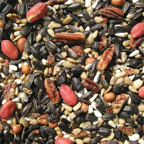 Cole's Special Feeder SF10 Safflower Seed Wild Bird Food, 10 lb, Blended, Seed, Bag