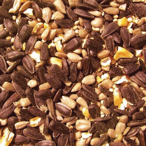 Cole's Blazing Hot Blend BH05 Cracked Corn Wild Bird Food, 5 lb, Blended, Seed, Bag