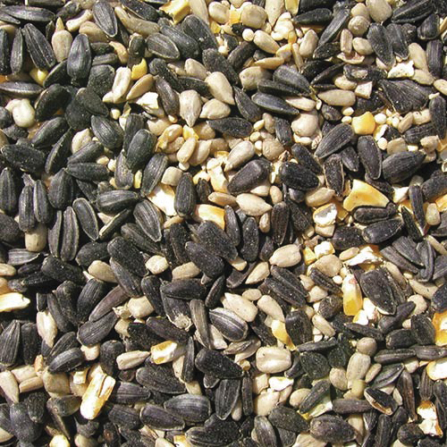 Cole's Blue Ribbon Blend BR20 Cracked Corn Wild Bird Food, 20 lb, Blended, Seed, Bag