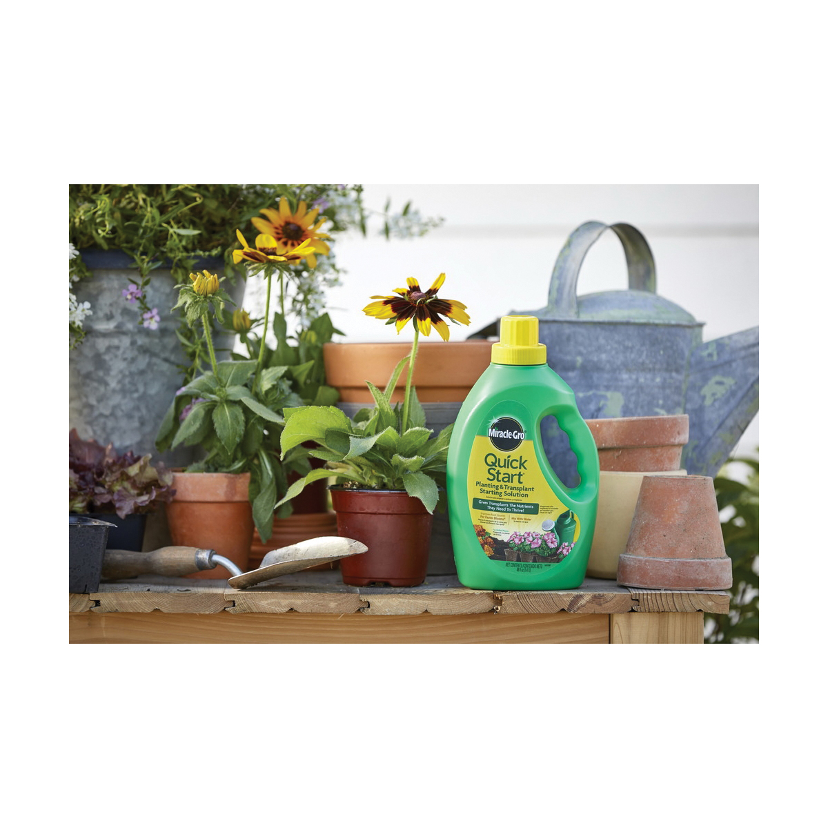 Miracle-Gro Quick Start 1005562 Planting and Transplant Starting Solution, 40 oz Can, Liquid, 4-12-4 N-P-K Ratio