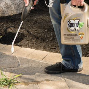 Roundup 5235010 Weed and Grass Killer Plus Weed Preventer II, Liquid, 35.2 oz Bottle