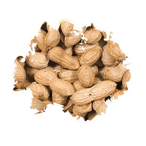 Wild Delight 379050 In shell Peanuts Wild Bird Food, 5 lb, Bag