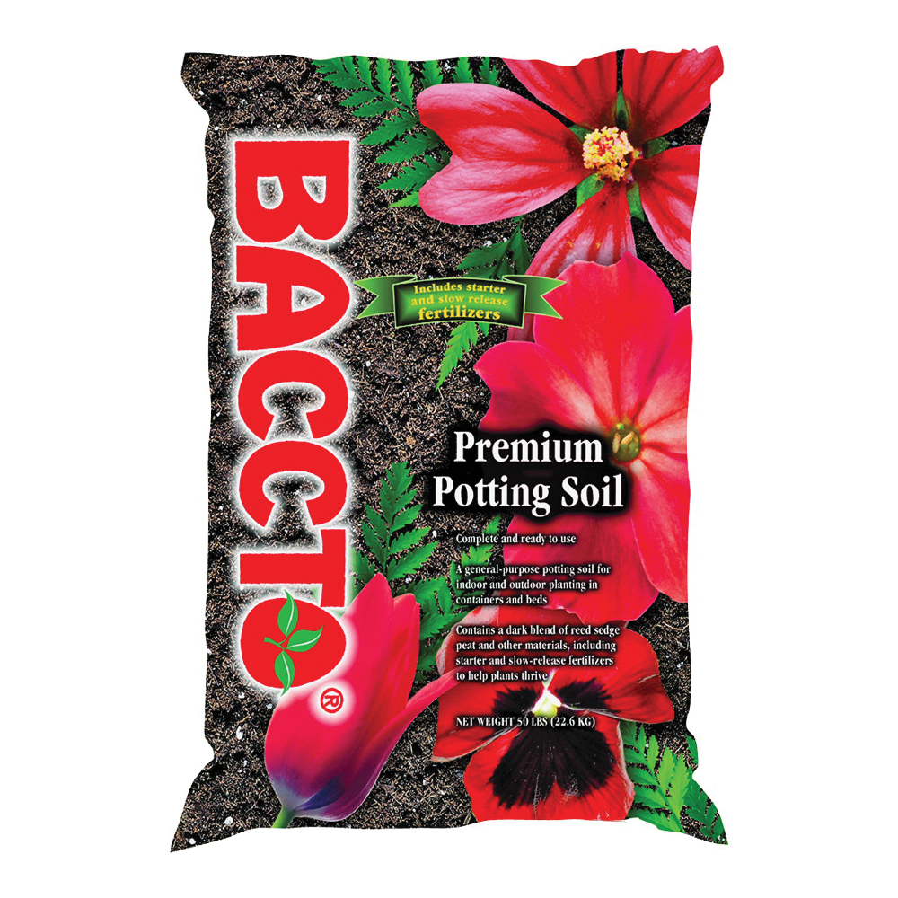 Baccto