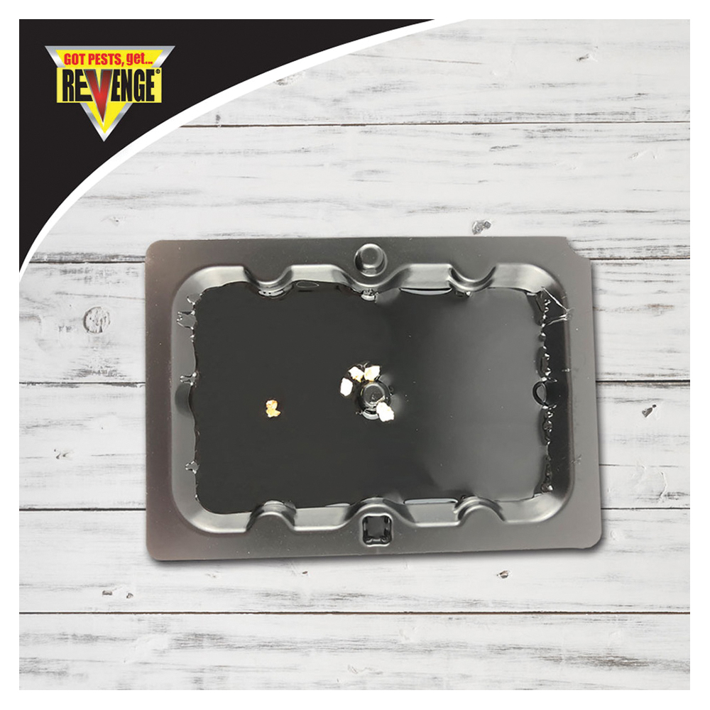 Bonide 47020 Baited Glue Tray, 0.7 in W, 5-1/2 in H, Catch-N-Hold Locking